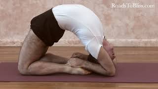 Everything about Kapotanasana Iyengar Yoga with David Meloni [upl. by Kovacs]