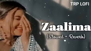 Zaalima SlowedReverb Arijit Singh  Lofi Song  Prashant [upl. by Asik]