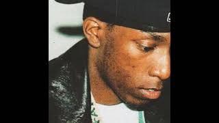 Big L  Lifestylez ov da Poor amp Dangerous Instrumental [upl. by Aneekal]