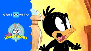 S1 E3 pt2 “Jailbird and Jailbunny” The Looney Tunes Show” [upl. by Notyalk]