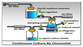 Chemostat continuous culture🤩🤩 [upl. by Loomis143]