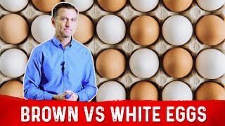 Brown Eggs vs White Eggs – Which Are Healthier – Dr Berg [upl. by Dag119]