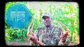 Early Season Deer Calling Tips [upl. by Dnomasor]