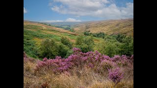 Rosedale Abbey and Railway Walk walking rambling yorkshire [upl. by Ewen]