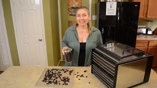 How To Pit And Dehydrate Cherries [upl. by Guenzi]