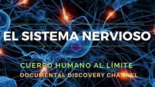 El Sistema Nervioso  Discovery Channel  Cuerpo Humano al Límite Completo [upl. by Eninaej]