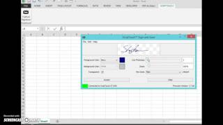 Simple Signature Capture in Excel [upl. by Goddart20]