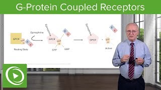 GProtein Coupled Receptors GPCRs – Biochemistry  Lecturio [upl. by Aleta]