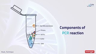 Components of PCR reaction I مكونات تفاعل البي سي ار [upl. by Dorion207]