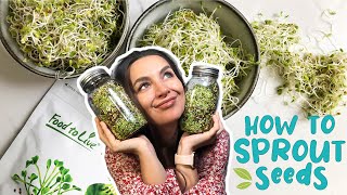 HOW TO SPROUT SEEDS  EASY GUIDE  Foolproof Method [upl. by Gitt713]