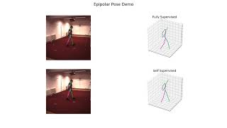 SelfSupervised Learning of 3D Human Pose using Multiview Geometry CVPR2019 [upl. by Allyson]