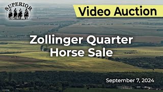 Zollinger Quarter Horse Sale [upl. by Nocam901]