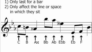 Accidentals amp Semitones halfsteps Explained  Music Theory [upl. by Blankenship]