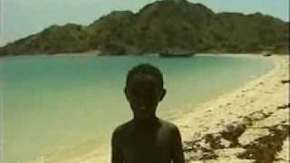 Eritreas Landscape Wildlife and Red Sea Children [upl. by Charyl]