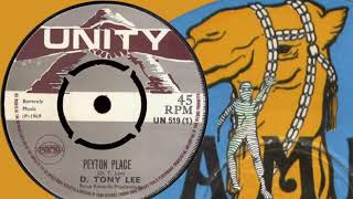 PEYTON PLACE  D TONY LEE [upl. by Charlet8]