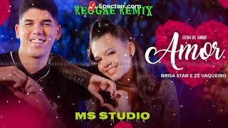 Brisa Star e Zé Vaqueiro  Cena de Amor Reggae Remix Ms studio 2021 [upl. by Buzzell281]