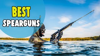 Best Spearguns – Field Tested amp Top 10 Reviewed [upl. by Eema726]