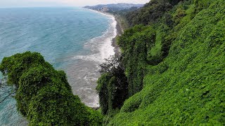 The Batumi Botanical Garden [upl. by Hahsi103]