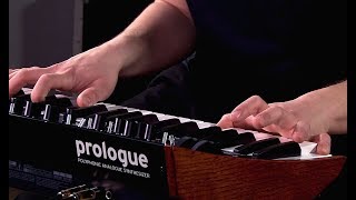 Korg Prologue  All Playing No Talking [upl. by Avehs]