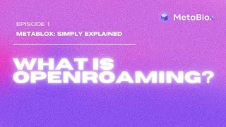 OpenRoaming MetaBlox Simply Explained [upl. by Ecnerat]