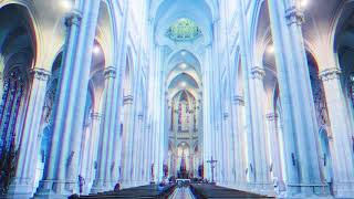 quotCarmen  Lana Del Reyquot But playing in a Cathedral [upl. by Serafine819]