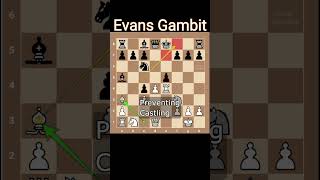 Evans Gambit Checkmate Miniature [upl. by Nimar]