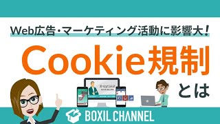 【Cookie規制とは？】規制後、広告の何が変わる？企業が必要な対応を解説！ [upl. by Aruol]