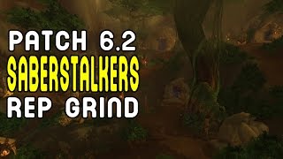 SABERSTALKERS Reputation Grind WoD Patch 62 PTR [upl. by Ahsiekin770]