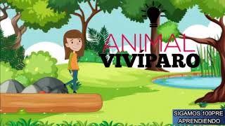 ANIMALES VIVIPAROS  CUALES SON LOS ANIMALES VIVIPAROS [upl. by Orland173]