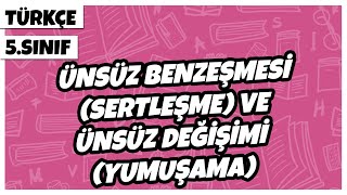 5 Sınıf Türkçe  Ünsüz BenzeşmesiSertleşme ve Ünsüz Değişimi Yumuşama  2022 [upl. by Carolina]