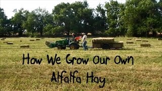 How We Grow Our Own Alfalfa Hay [upl. by Shamma]