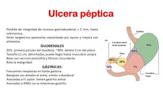 FISIOPATOLOGÍA  Semana 15  Ulcera Péptica [upl. by Odlanyar]