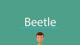 Beetle pronunciation [upl. by Gilud]