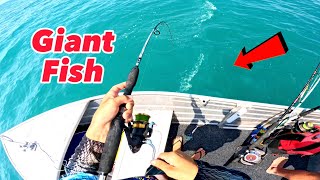 Reef fishing in Hervey Bay  tuna  mackerel  cod  bream [upl. by Meter]