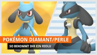 Pokémon Strahlender Diamant amp Leuchtende Perle Riolu bekommen [upl. by Elazaro]