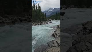 Mistaya Canyon Alberta alberta summer2024 mistayacanyon water river mistaya [upl. by Zacks]