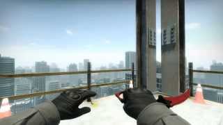 Karambit Crimson Web  Factory New  CSGO Skin Showcase [upl. by Pomfrey]