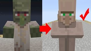 How To Cure A ZOMBIE Villager Minecraft Tutorial [upl. by Doll]