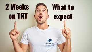 What to Expect While on TRT  2 weeks on TRT in the UK testosterone replacement therapy [upl. by Anniken]