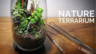 Making a closed nature terrarium  How to build an ecosystem inside a glass jar [upl. by Zolly]