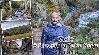 Viaje  3 días en la Selva Negra  Alemania [upl. by Elsinore]