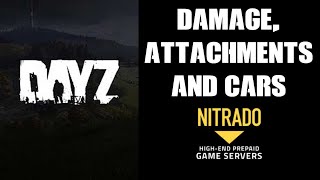 How To Spawn Items No Damage Guns With Attachments amp Complete Cars Nitrado DAYZ Xbox Private Server [upl. by Aip]