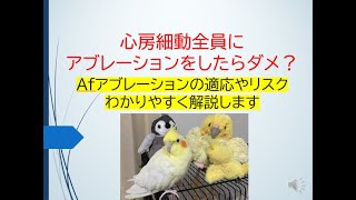 心房細動全員にアブレーションをしたらダメ？適応やリスクを循環器医が解説します [upl. by Desberg]