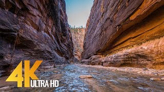 The Narrows  Virtual Hike in the Zion National Park in 4K Ultra HD with Nature Sounds [upl. by Kernan262]