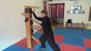 Choy Li Fut wooden dummy  Learn in full step by step [upl. by Raval]