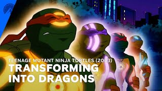 Teenage Mutant Ninja Turtles 2003  The Turtles Transform Into Dragons S5 E12  Paramount [upl. by Oibirot]