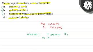 Methanogenic bacteria are not found in \ \mathrmP \ a rumen o [upl. by Lek]