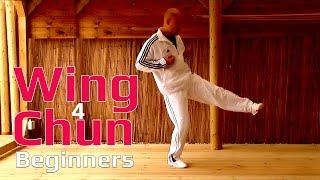 Wing Chun for beginners lesson 6basic leg exercise static triple kick [upl. by Annyl]