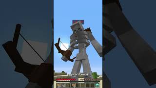 skeleton LVL 1 vs funny LVL 99 in Minecraft shorts meme memes [upl. by Raimes]