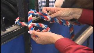 How to tie your horse safely and securely [upl. by Ateerys]